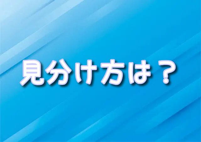 ポケカサーチ跡画像の見分け方は？サーチ機での判別方法も紹介！