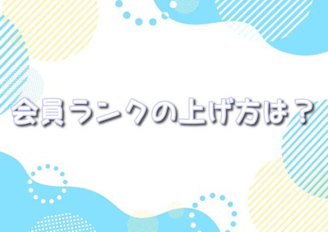 エクストレカ 　ブロンズ　会員