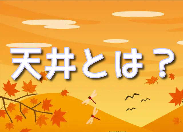 エクストレカ　天井　メリット